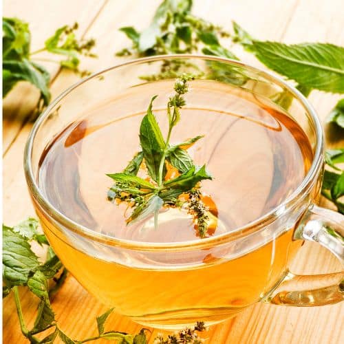 Peppermint tea for bloating
