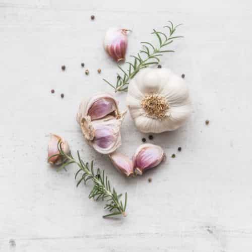 Garlic